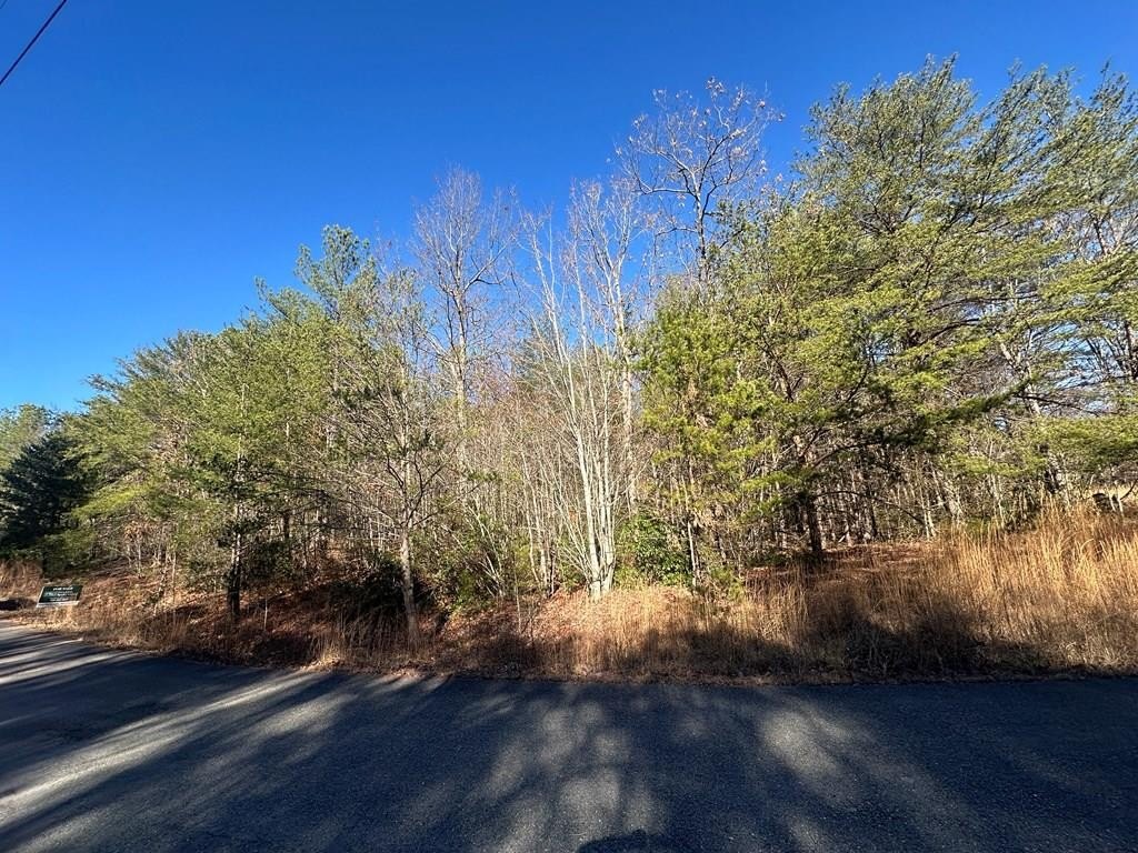 2.11 Acre Wooded Corner Lot