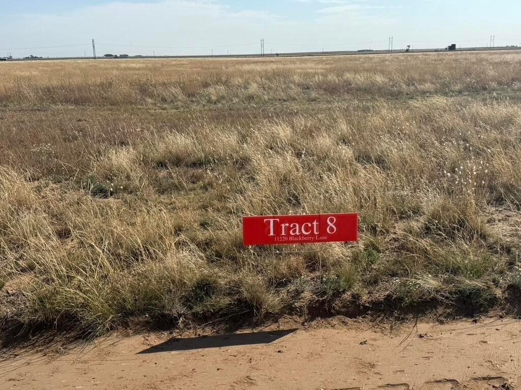 Expansive Land in Hartley, Texas