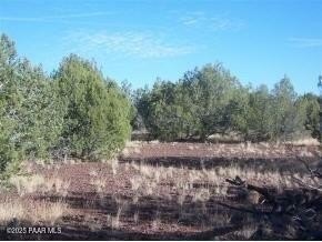 Land Near State Land