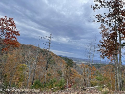 LAND - Tellico Plains, TN