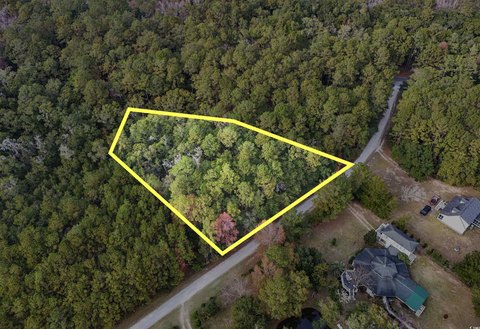 Residential Land in Georgetown, SC