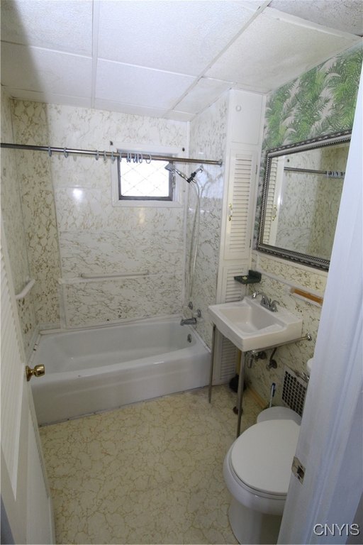 Picture 11