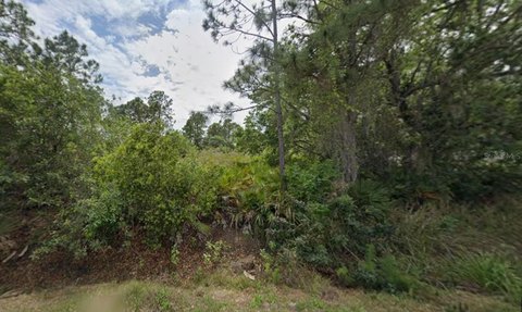 PUNTA GORDA, FL