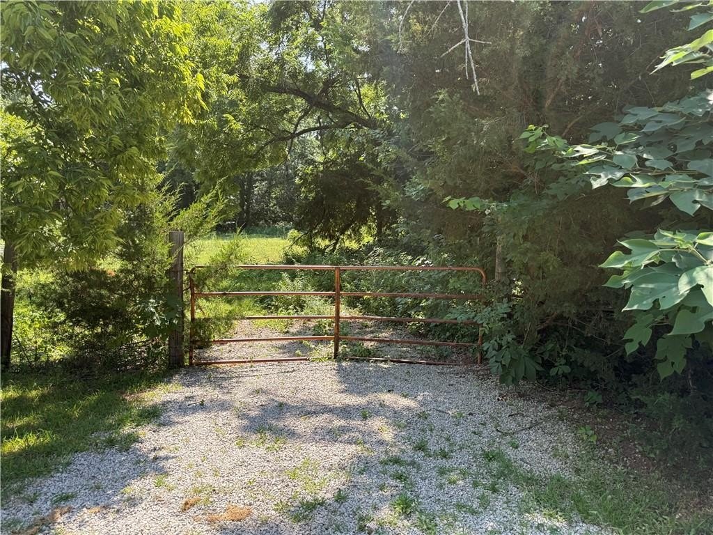 Picture 17