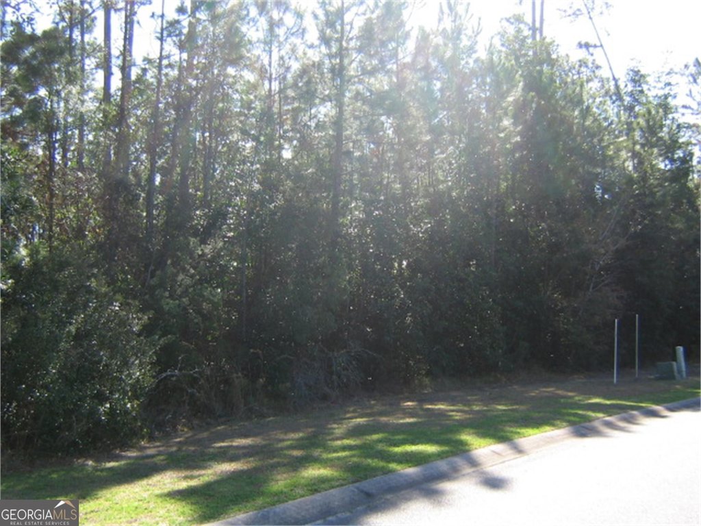 Picture 2