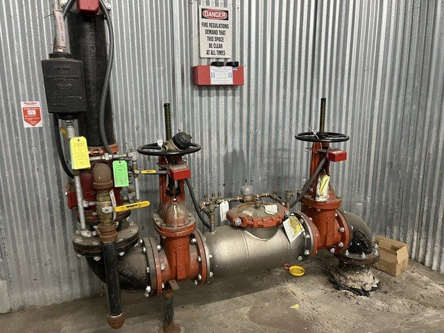 Picture 17