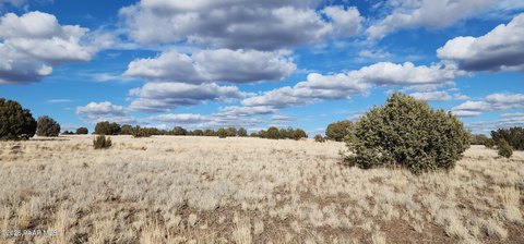 LAND - Ash Fork, AZ