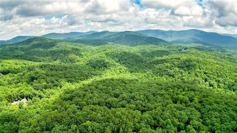 47+ Acres Wooded Land Jasper