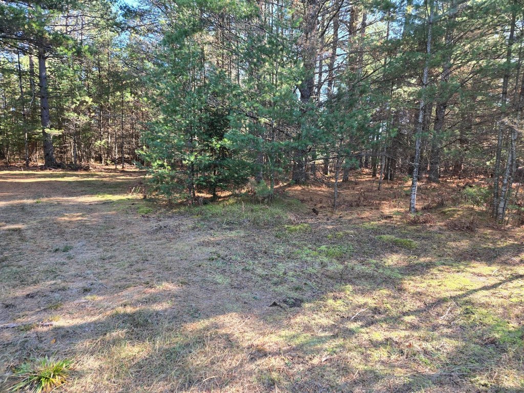 Picture 15
