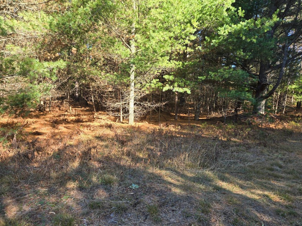 Picture 16