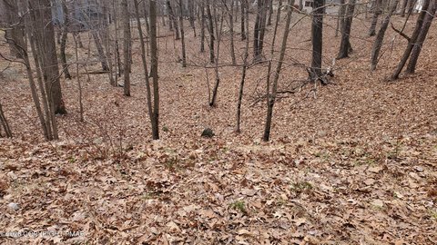 Residential Lot in Saw Creek Estates