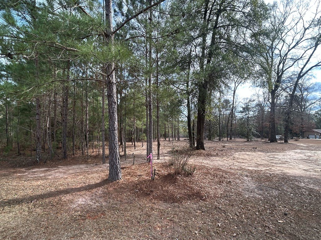 Picture 13