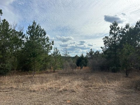 Ozark Land Development Opportunity