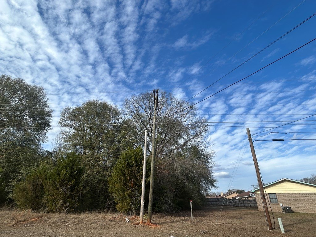 Picture 19