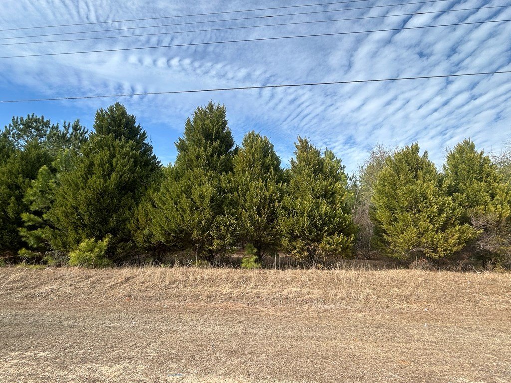 Picture 20