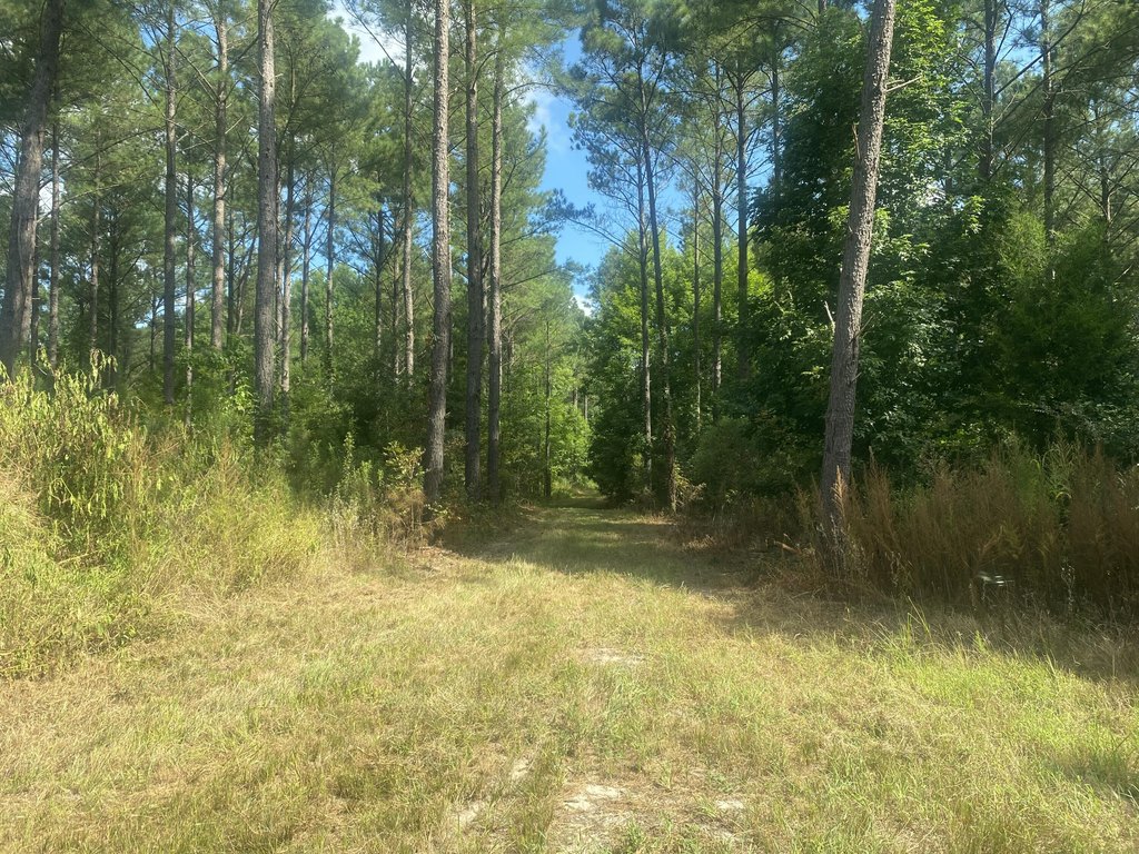 Picture 8