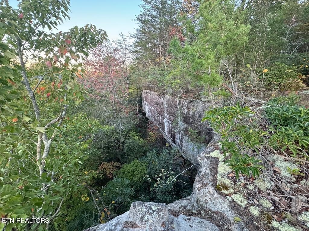 Picture 4