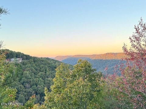 Lots & Acreage, Wilder, TN