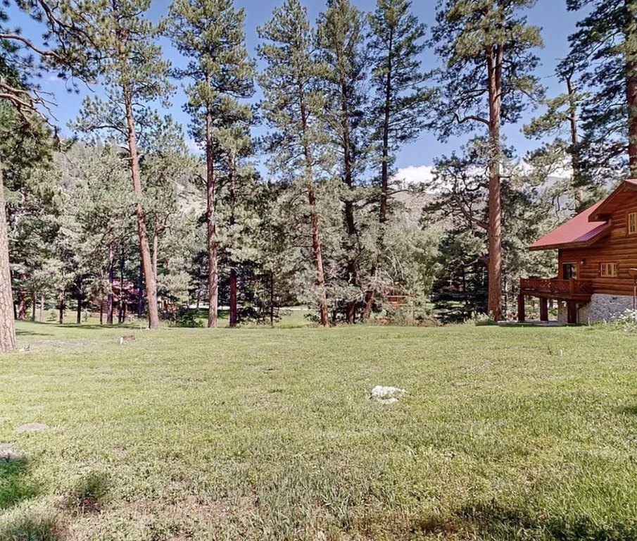 Picture 3