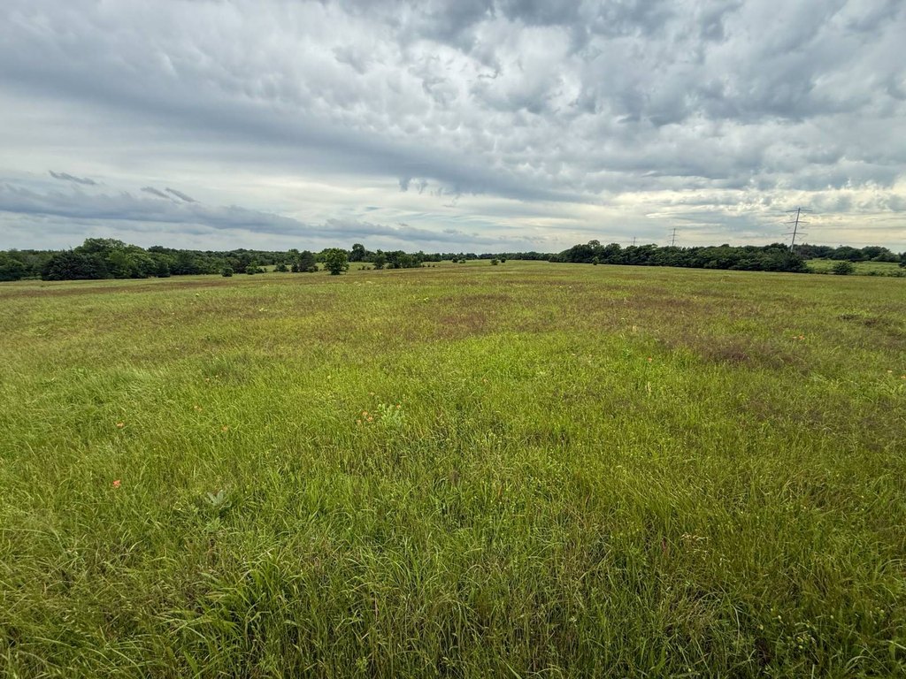 Picture 23