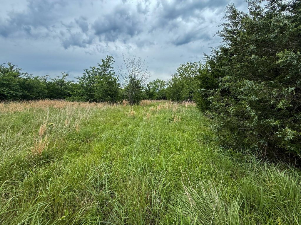 Picture 15