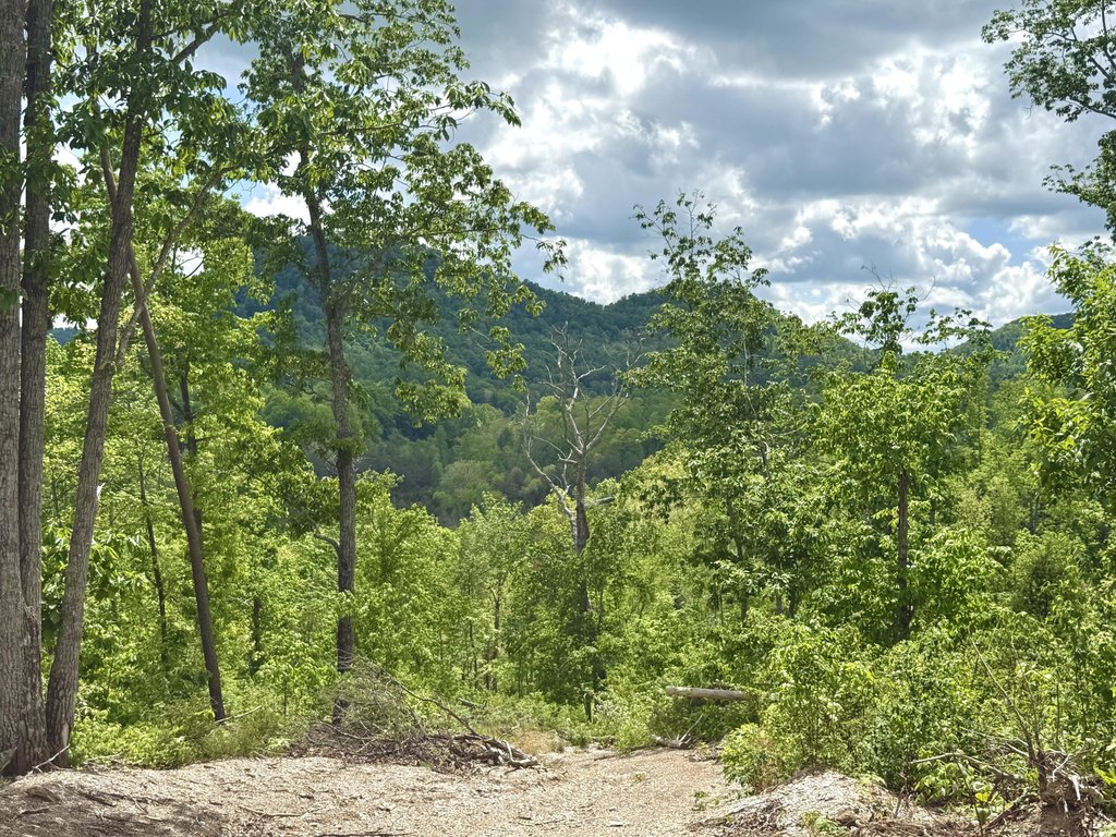 Picture 24