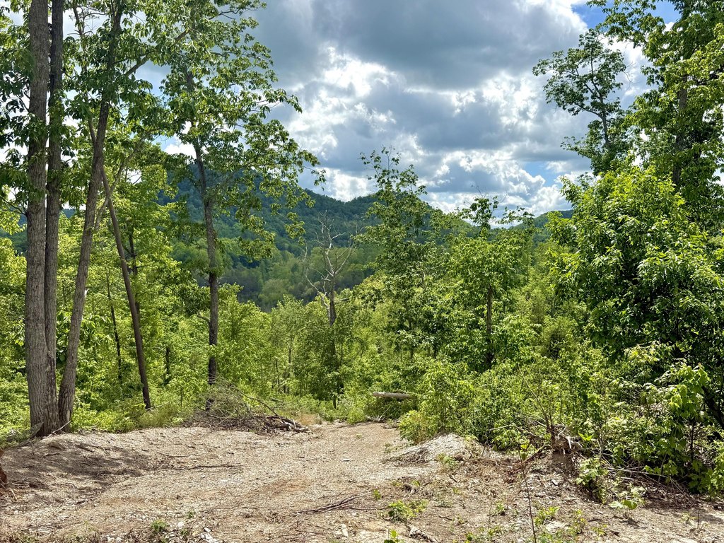 Picture 13