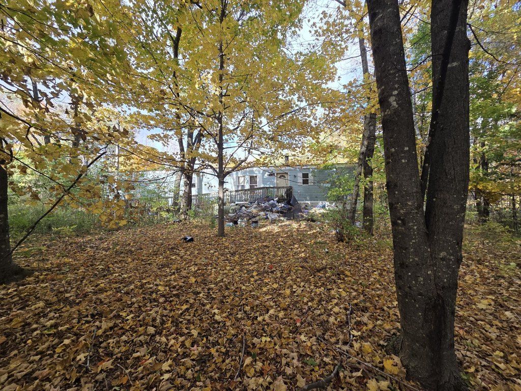 Picture 3