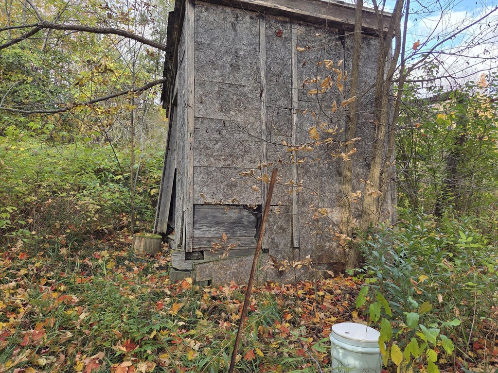 Picture 13
