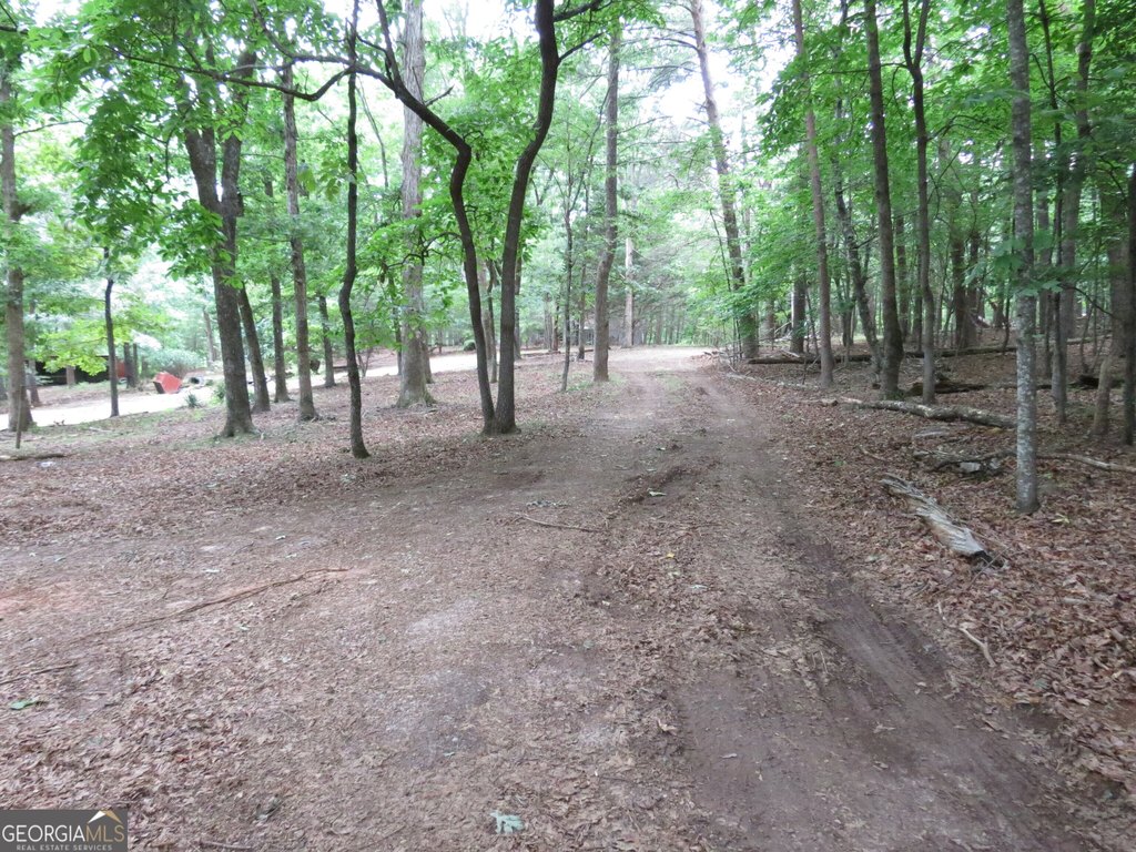 Picture 8
