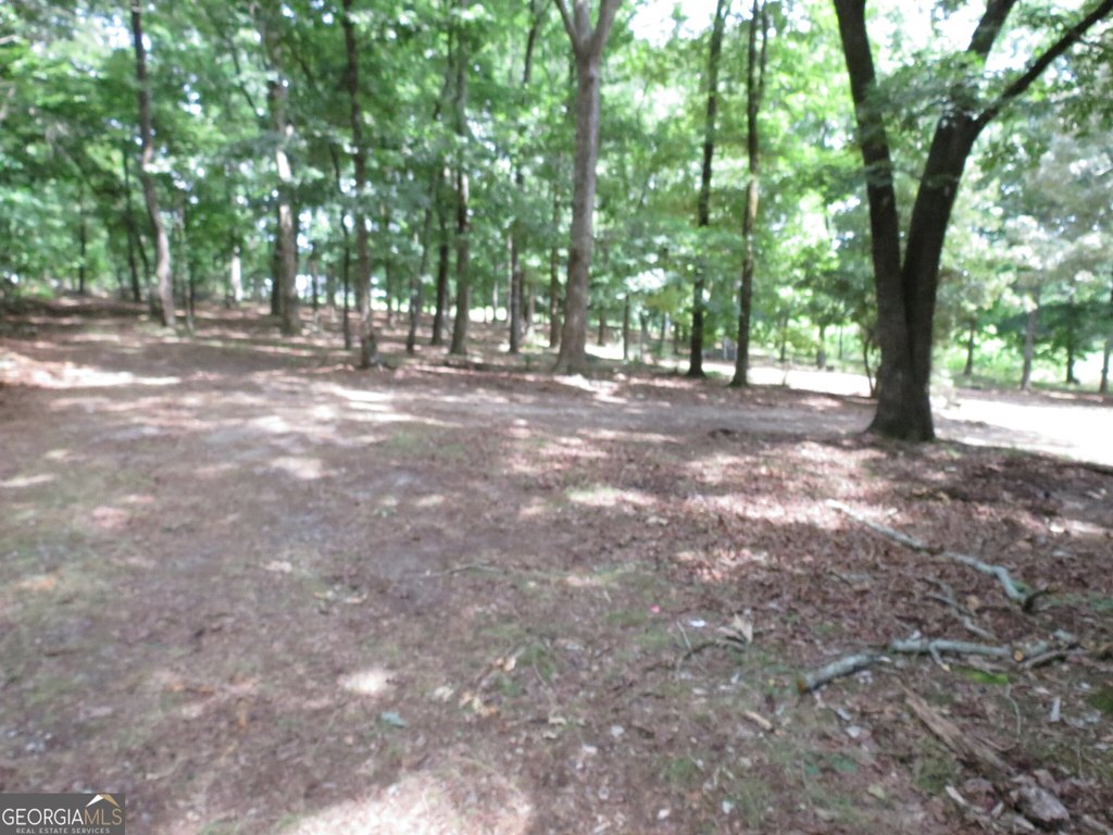 Picture 2