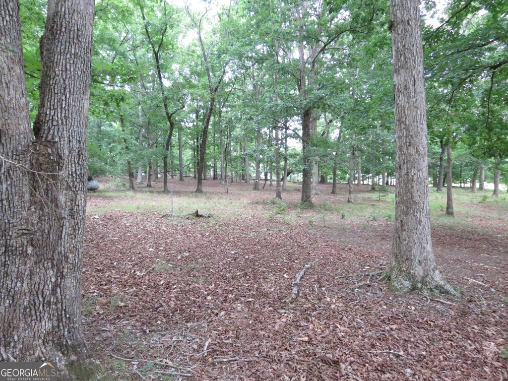 Picture 10
