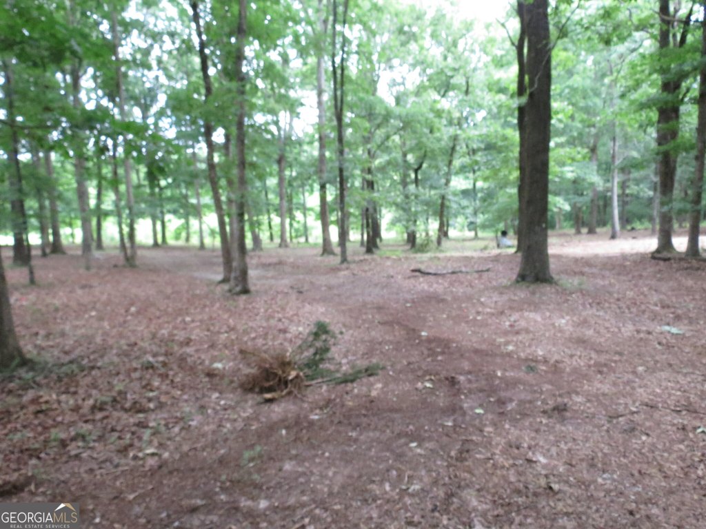 Picture 11