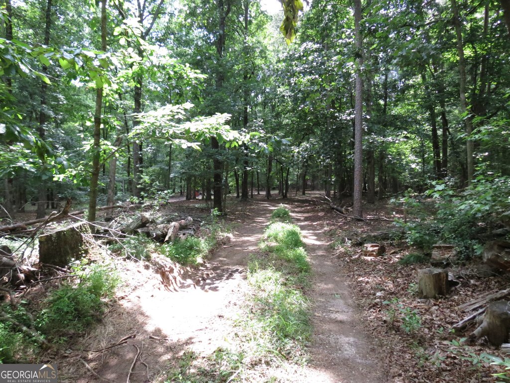 Picture 7