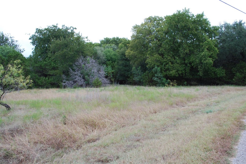 Picture 11