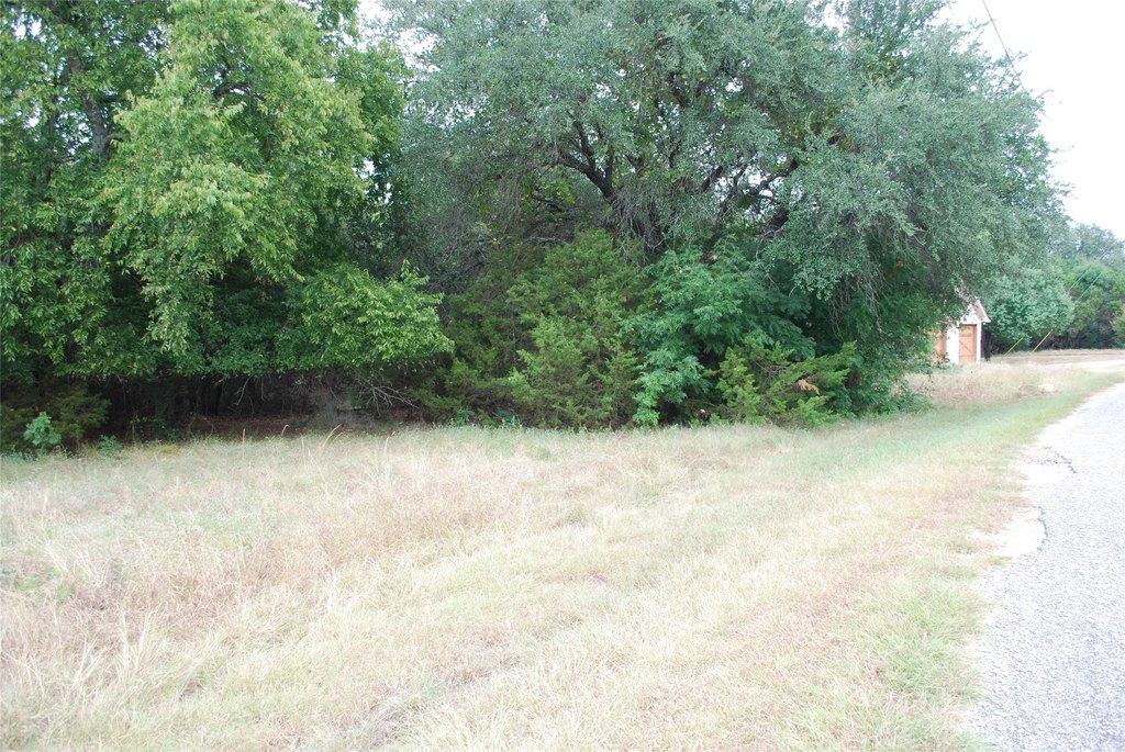 Picture 7