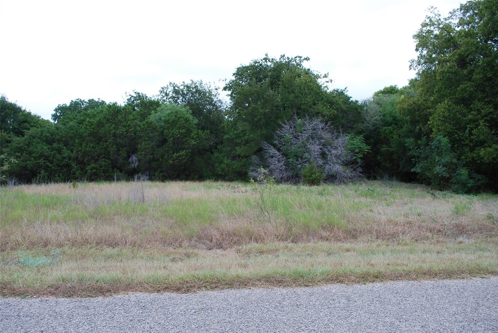 Picture 9