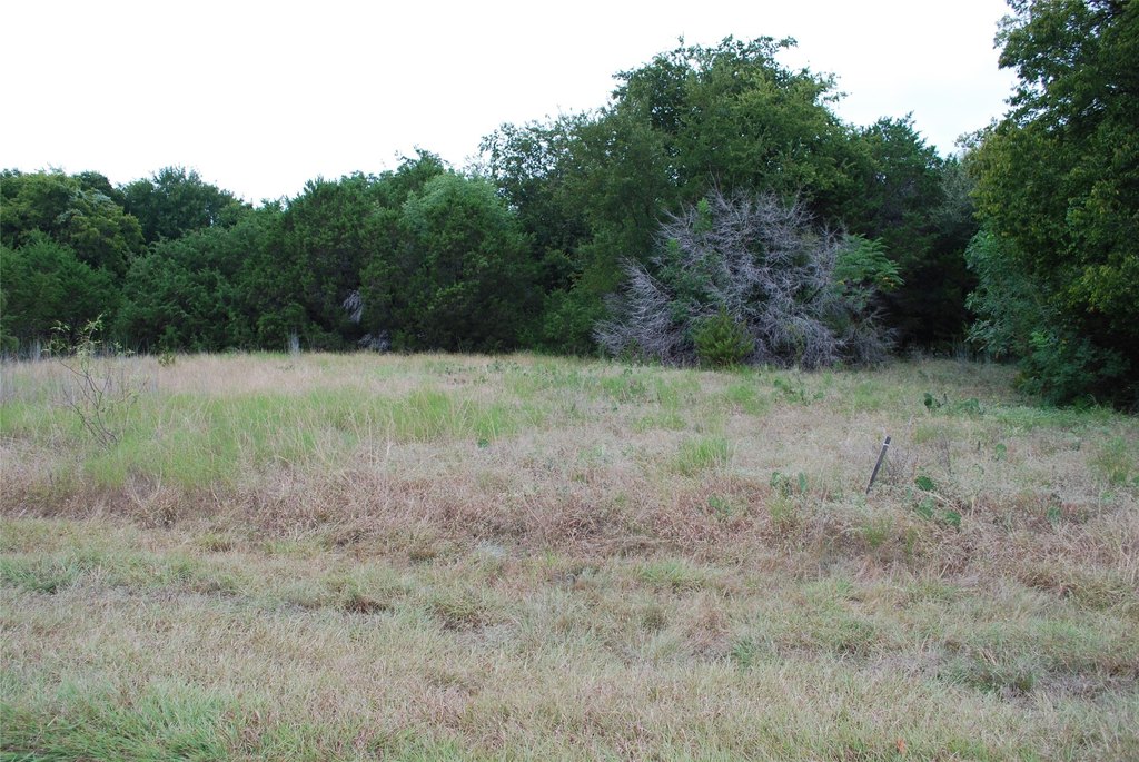Picture 8