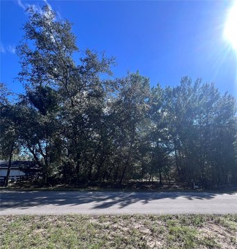 Land, OCKLAWAHA, FL