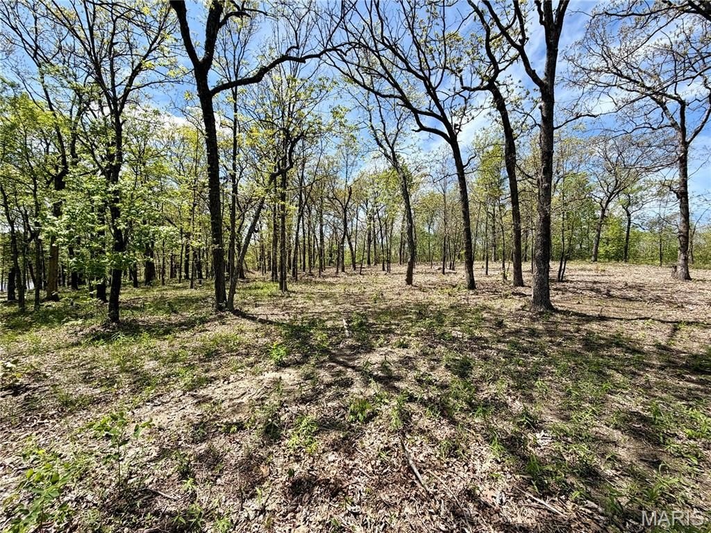 Picture 19