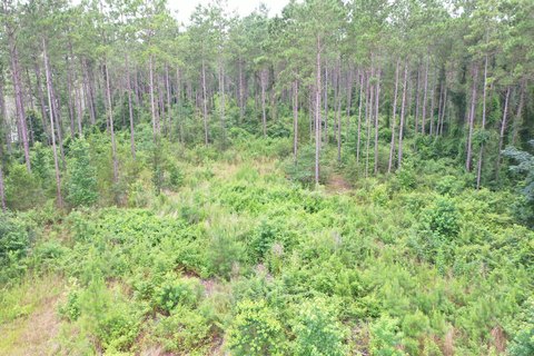 LAND - Laurel, MS