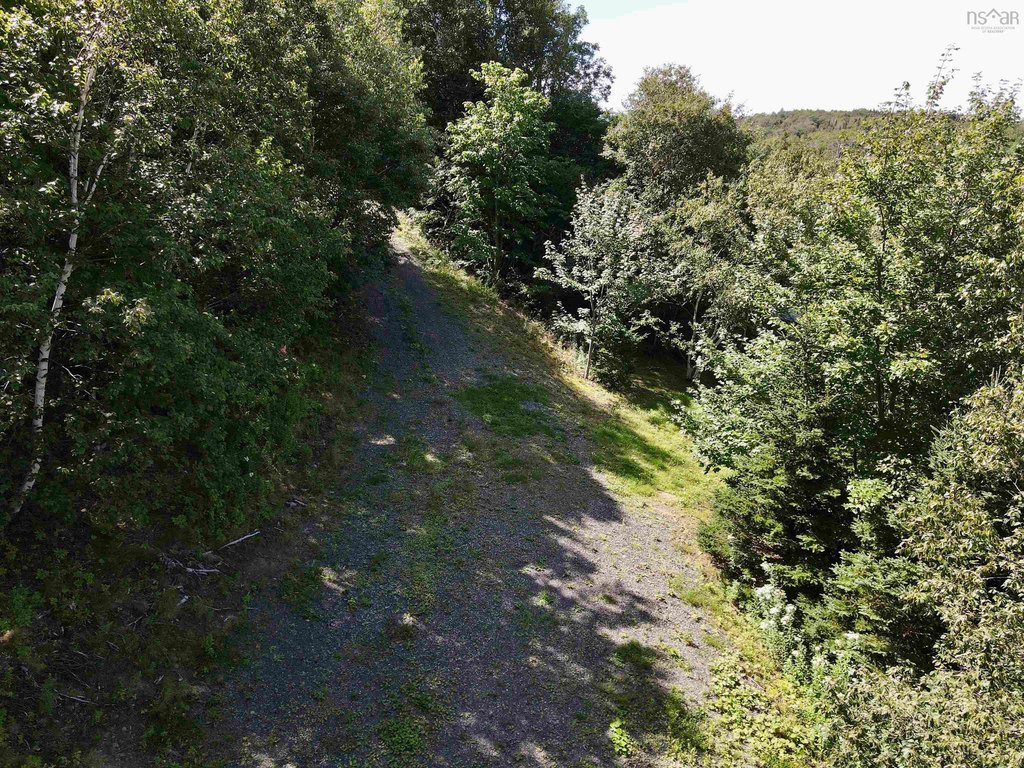 Picture 21