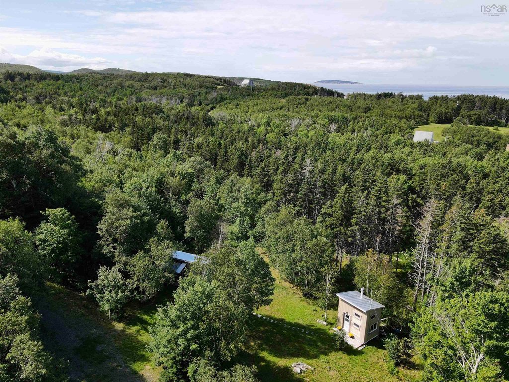 Picture 17