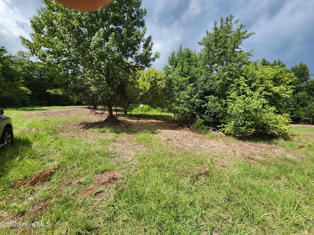 Picture 15