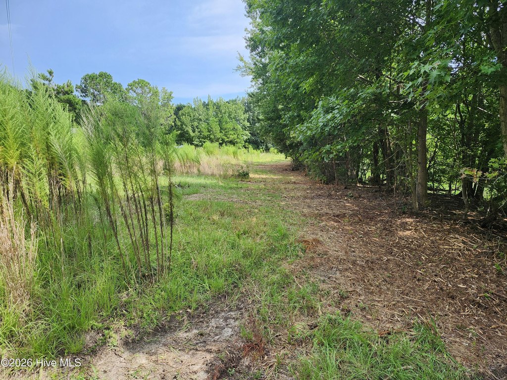 Picture 4