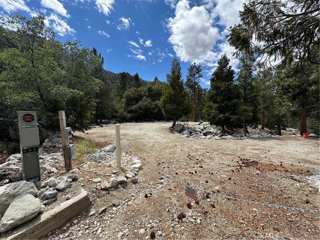 Secluded Forest Falls Treed Parcel