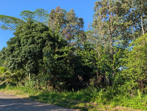 Keaau Acre Parcel For Sale