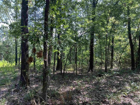 Land in Harrison, Arkansas