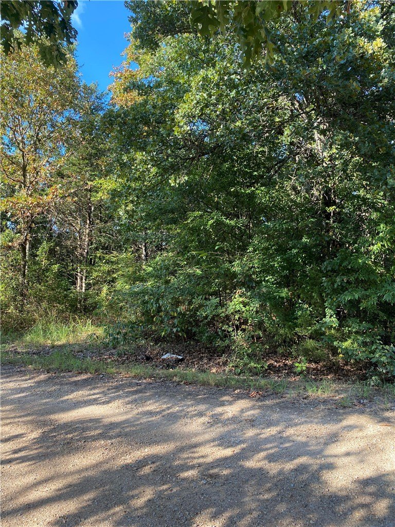 Lakefront Land in Lead Hill