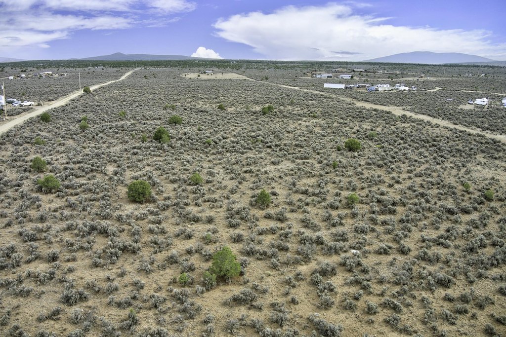 Picture 32